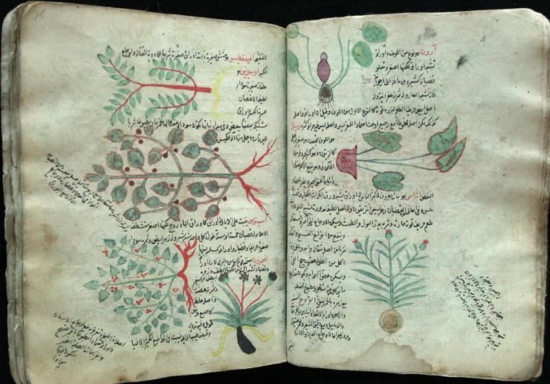 کتاب داروسازی دوران طلایی خاورمیانه